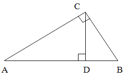Прямоугольный треугольник с высотой